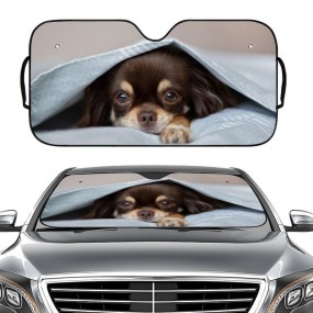 Auto Sonnenschutzblenden mit Firmenlogo – Jetzt individ...