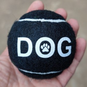 Farbige Tennisbälle mit Ihrem Logo bedrucken lassen – k...