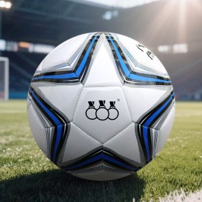 Werbefußball mit Logo – Individuelle Fußbälle günstig g...
