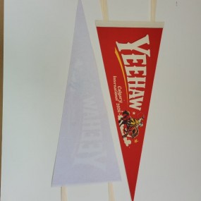 Wimpel aus Filz mit Ihrem Logo/Text bedrucken lassen - ...